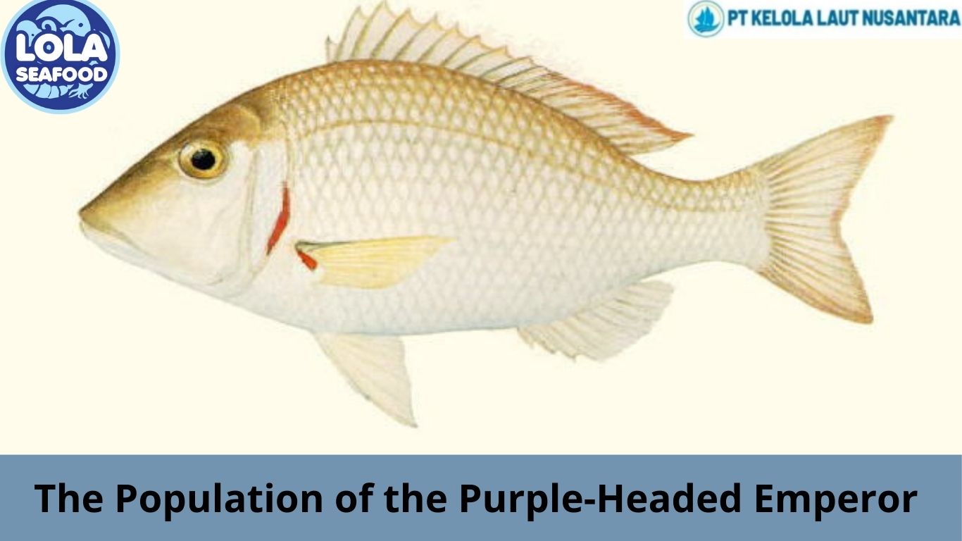 The Population of the Purple-Headed Emperor 